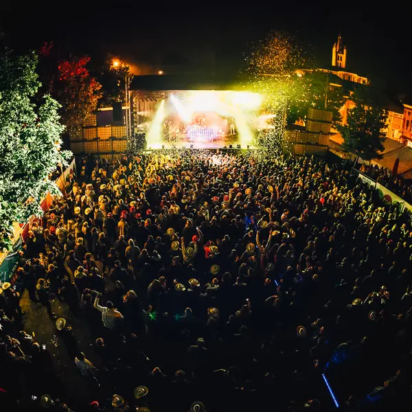Photo 100 de l'édition 2018 du Seneffe Festival