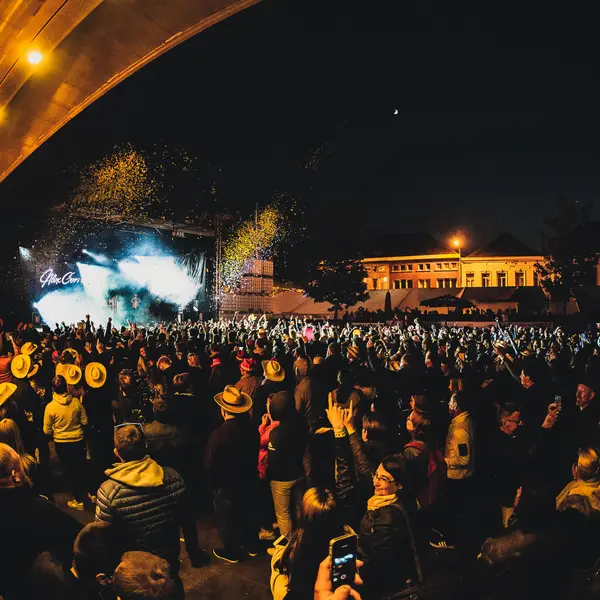 Photo 101 de l'édition 2018 du Seneffe Festival