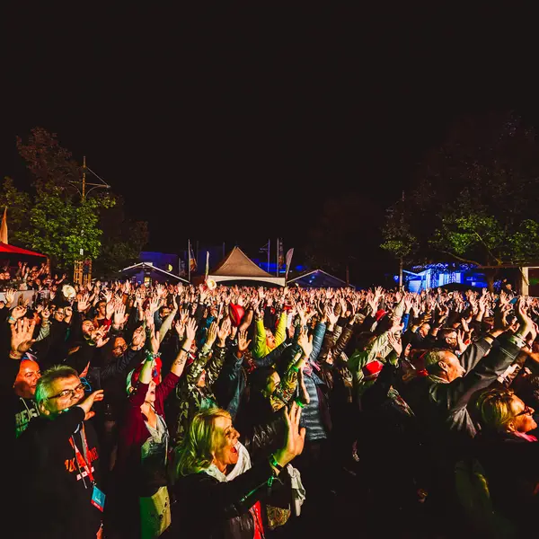 Photo 109 de l'édition 2018 du Seneffe Festival