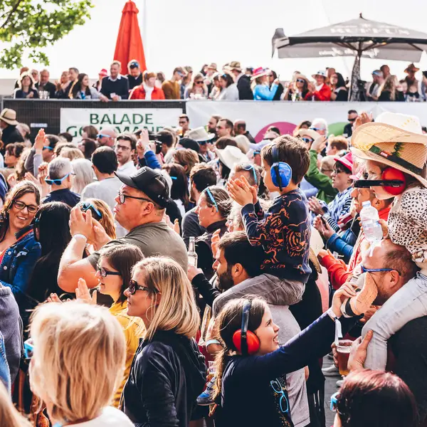 Photo 129 de l'édition 2018 du Seneffe Festival