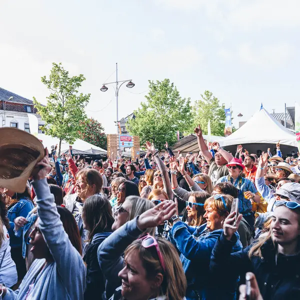 Photo 131 de l'édition 2018 du Seneffe Festival