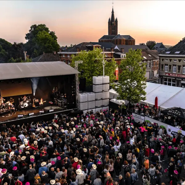 Photo 136 de l'édition 2018 du Seneffe Festival