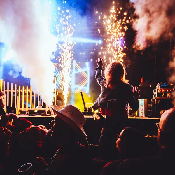 Photo 162 de l'édition 2018 du Seneffe Festival