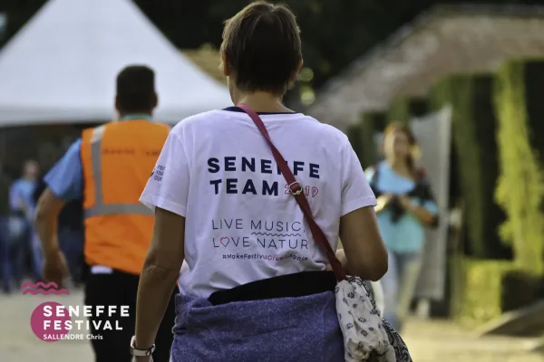 Photo 3 de l'édition 2019 du Seneffe Festival