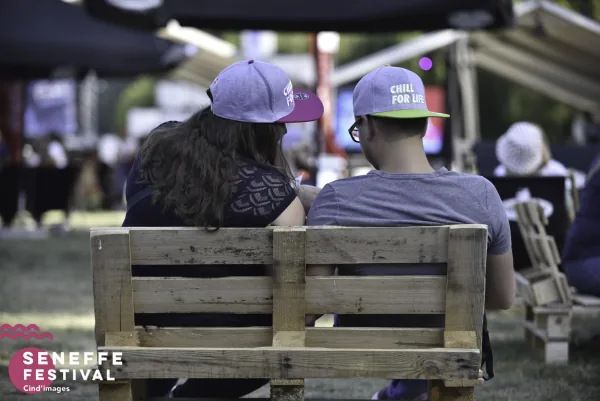 Photo 19 de l'édition 2019 du Seneffe Festival