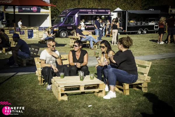 Photo 22 de l'édition 2019 du Seneffe Festival