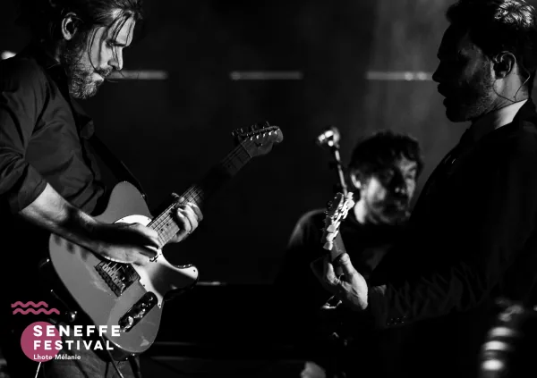 Photo 34 de l'édition 2019 du Seneffe Festival