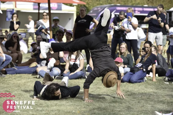Photo 44 de l'édition 2019 du Seneffe Festival