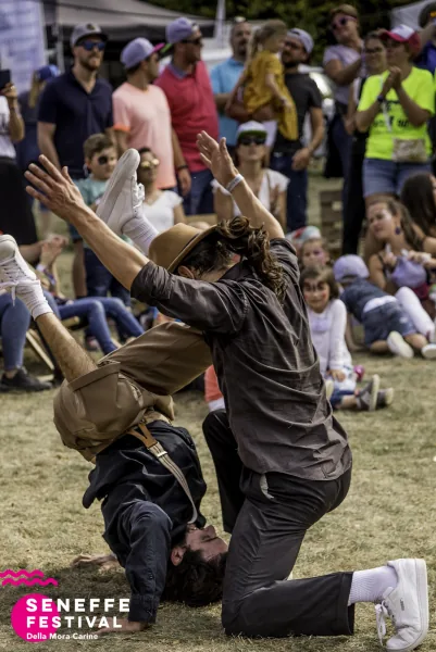 Photo 45 de l'édition 2019 du Seneffe Festival