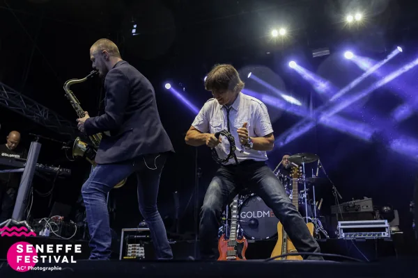 Photo 56 de l'édition 2019 du Seneffe Festival