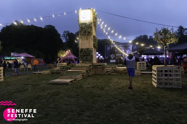 Photo 58 de l'édition 2019 du Seneffe Festival